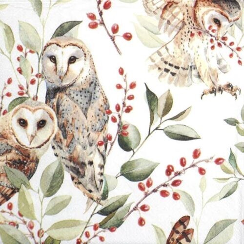 Single paper napkins for - 4x,