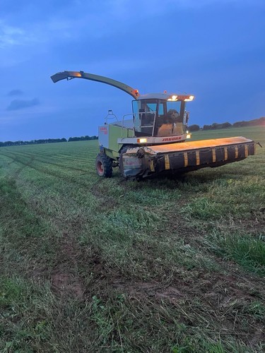 Quickcut 2003 wholecrop - quickcut,