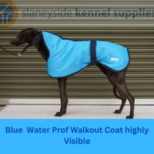 Greyhound water resistant