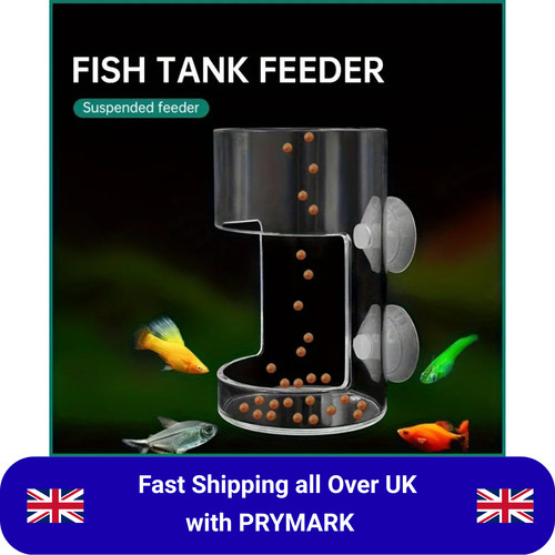 Aquarium feeding ring fish - feeding,