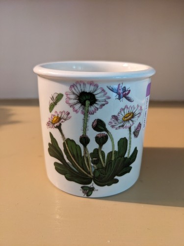 Portmeirion botanic garden - portmeirion,
