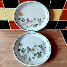 2x M&S Autumn Leaves Dinner