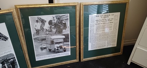 Phar lap limited edition - lap,