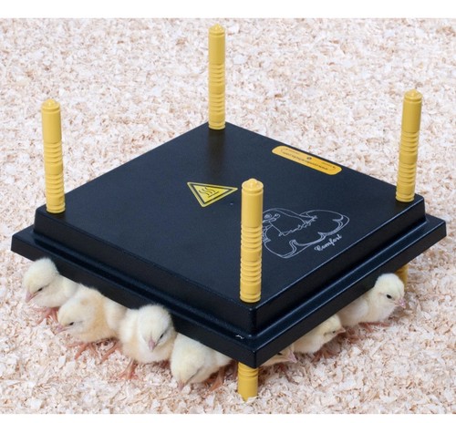 Comfort chick brooder - 25,