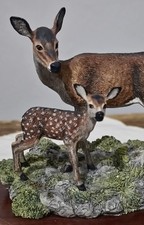 Border Fine Arts Red Hind &