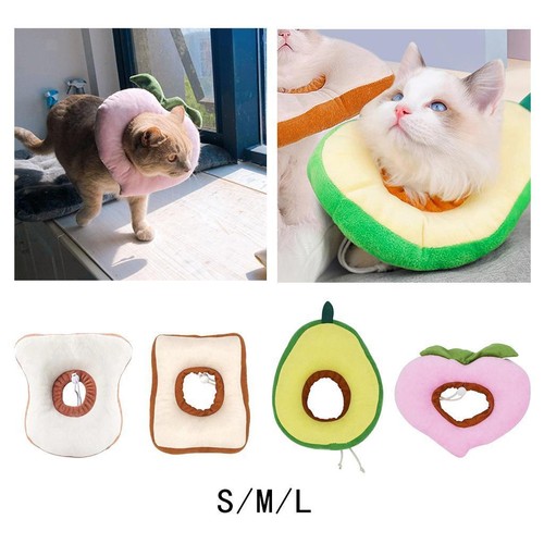 Cute cartoon pet - cute,