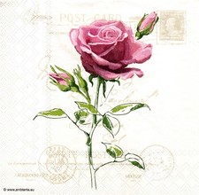 (2) Two Paper Lunch Napkins