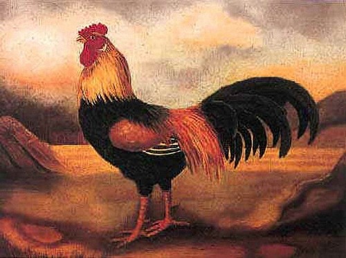 English native animals old - english, -an