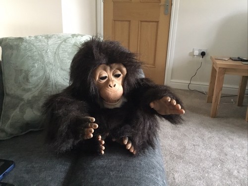 Furreal friends cuddle chimp - furreal,