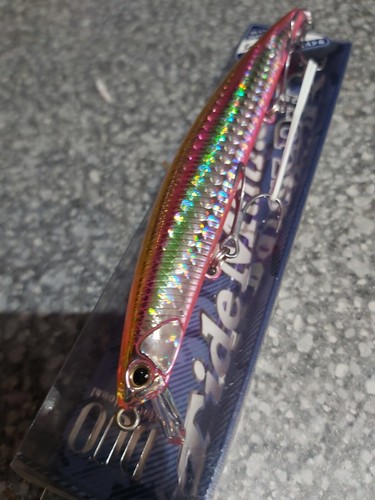 Duo tide minnow - tide,