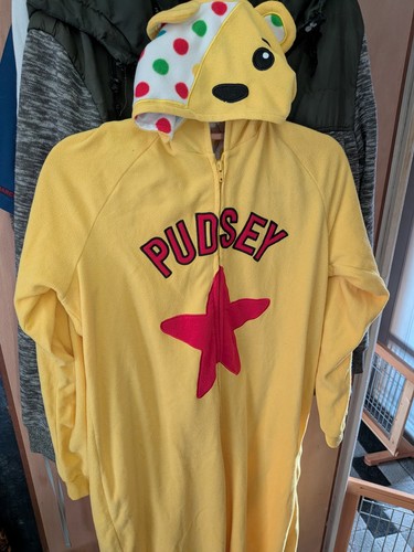 Children need adult pudsey - in,