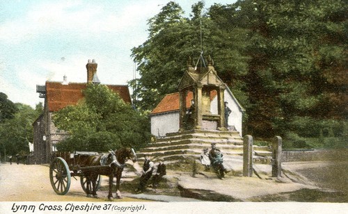 Pony trap lymm cross - &, at
