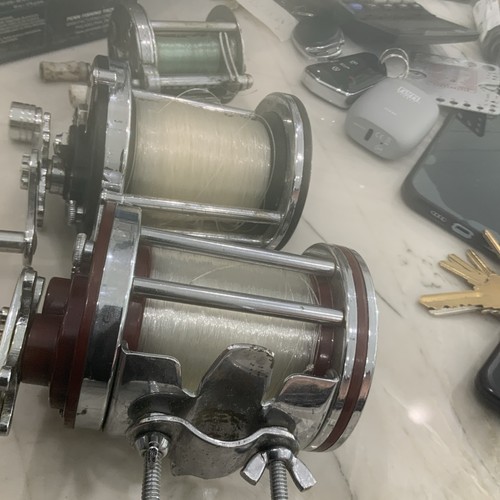 Reels total penn - reels,