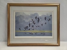 Peter Scott Royal Doulton