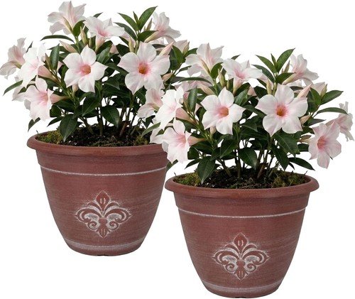 Large outdoor plant pots pack - large,