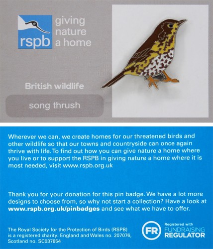 Rspb pin badge gnah - pin,