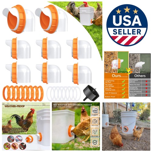 Diy chicken feeder - chicken,