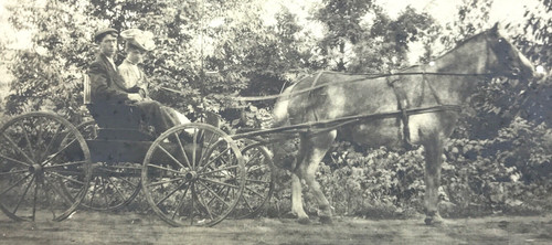 Antique vtg rppc horse - vtg,