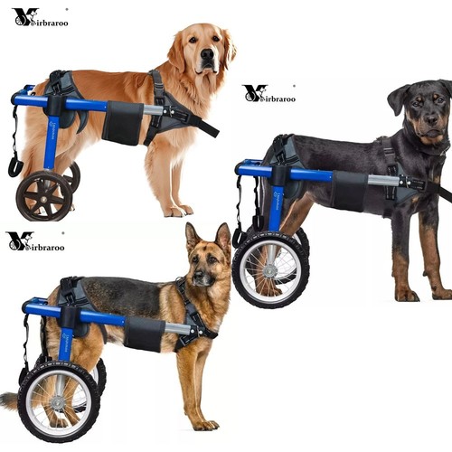 Used large dog - dog, wheelchair