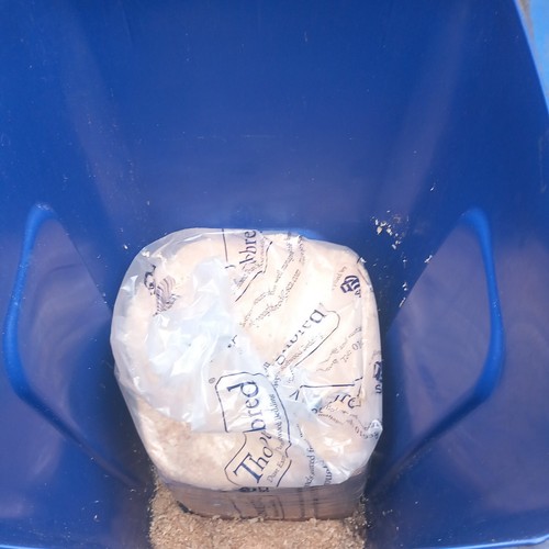 Saw dust shavings for rabbit - dust, a
