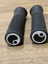 Ergon GE1 Evo Factory Grips