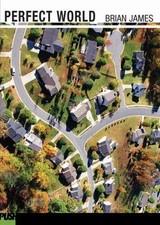 Perfect World by Brian James