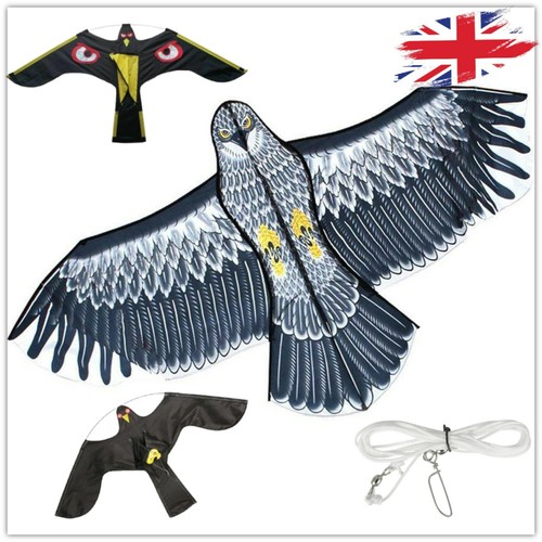 Flying kite bird scarer hawk - flying,