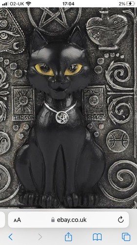 Black cat magical witch - black,