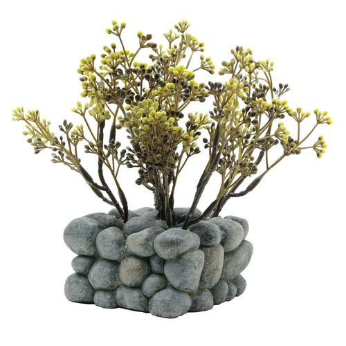 Fluval chi plant with pebble - plant,
