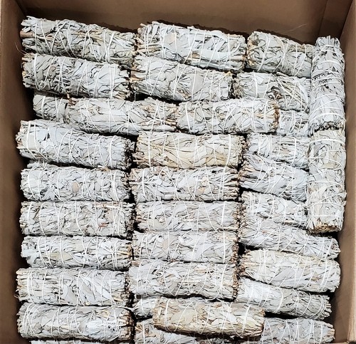 California white sage - california,