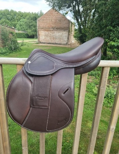 Amerigo octave jump saddle - octave,
