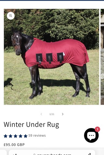 Snuggy hoods under - hoods, rug