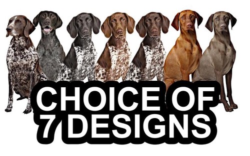 German shorthaired pointer - shorthaired,