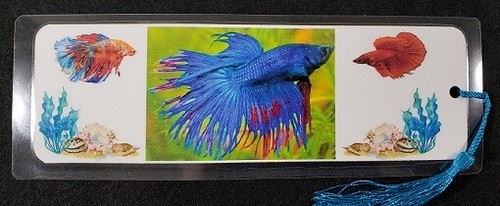 Fresh water tropical fish - fresh,