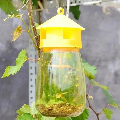 Reusable fruit fly trap killer - fly,