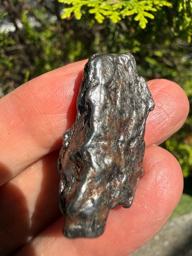 Campo del cielo meteorite - campo,