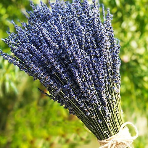 Tooget lavender dried ultra - tooget,