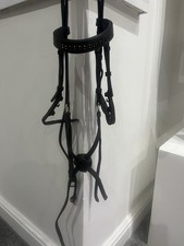 JW Pony Grackle Bridle Bling Browband