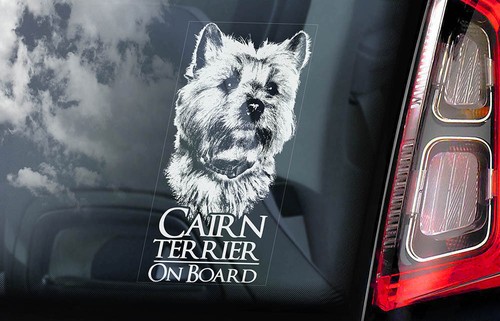 Cairn terrier car - terrier,