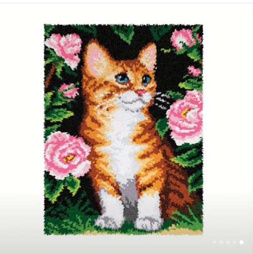 Latch hook rug kit - kit, beautiful