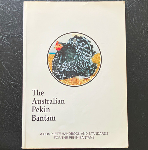 The australian pekin bantam - australian,