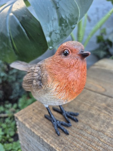 Realistic robin ornament - realistic,