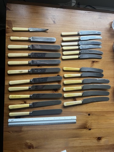 Bone handled dinner - bone,