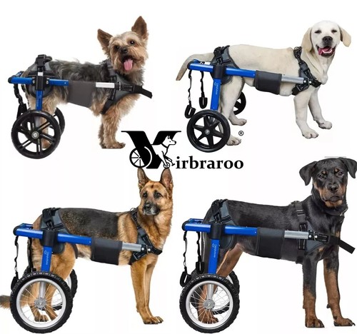 Used dog wheelchair for back - dog,