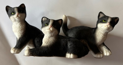 Black white cat - &,