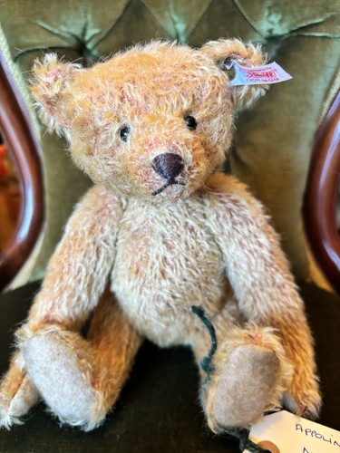 Steiff bear appolina - steiff,