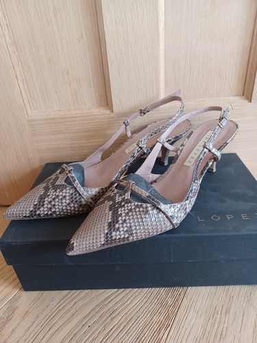 Pura lopez python kitten - lopez,
