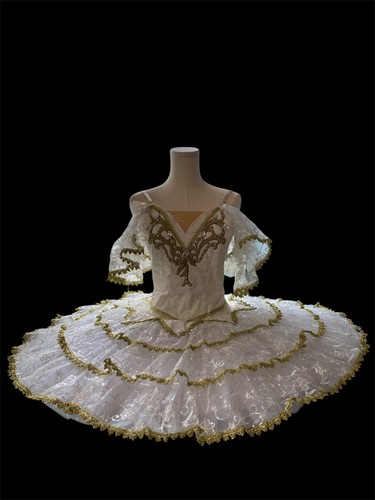 Professional platter ballet - professional,