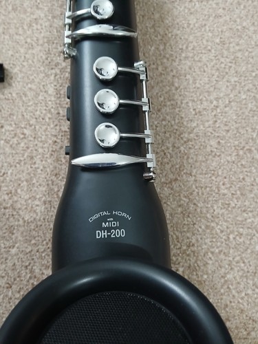Casio 200 digital - digital, horn