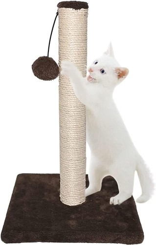 Large cat scratching - scratching,